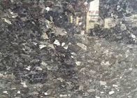Nutral entsteinen des Silber-Perlen-Granits 12X12 Norwegens Labrador Stein-Fliesenplatten