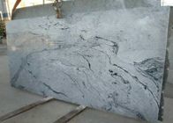 Grau adert hohe Granit-Dichte der Naturstein-Platten-Wand-Fliesen-2,95