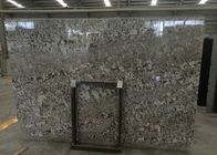 Vorgeschnittene Granit-Platte Brasiliens Bianco Antico, graue Granit-Fliesen Bianco Antico