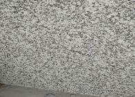 Granit-Badezimmer-Fliesen der Druckfestigkeits-66.5Mpa, graue Granit-Bodenfliesen
