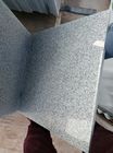 Professionelle kundenspezifische Granit-Stein-Fliesen für den Fußboden der Pflasterung, Finanzanzeige