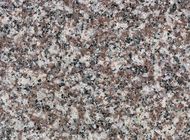 Granit-Naturstein-Platten polierten große Platten des Ende240up X1200up X 2cm