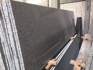 Materielle Naturstein-Platten des Granit-G654/Naturstein-Bodenfliesen