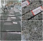 Feste hohe vorfabrizierthärte-gute Korrosionsbeständigkeit Granit Worktops