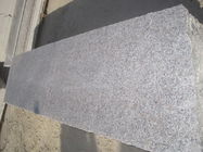 Materielle Bianco Antico Granit-Platten-graue Blumen-Perlen-Farbe des Granit-G383